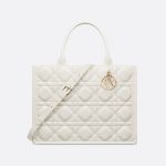 Sac Dior Book Tote Medium