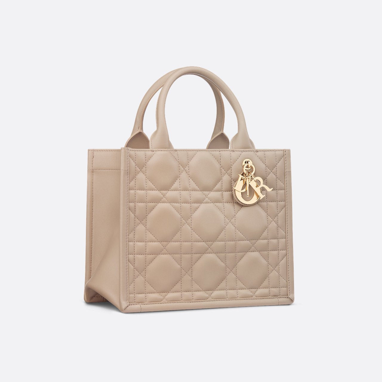 Sac Dior Book Tote Small - Image 4