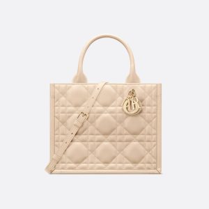 Sac Dior Book Tote Small