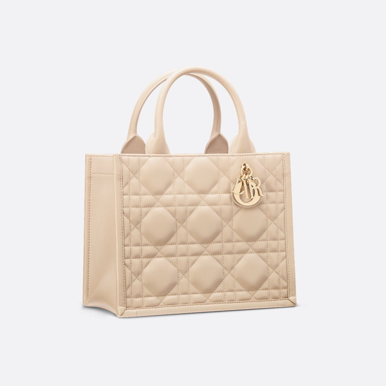 Sac Dior Book Tote Small - Image 4