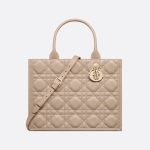 Sac Dior Book Tote Medium