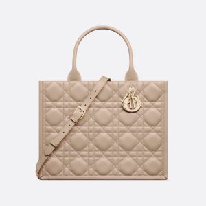 Sac Dior Book Tote Medium