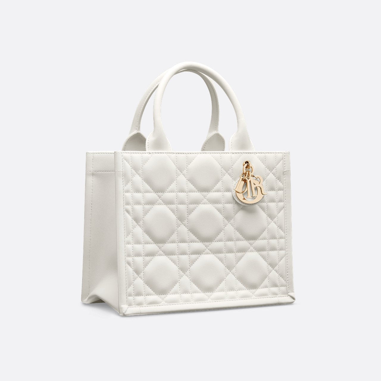 Sac Dior Book Tote Small - Image 5
