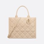 Sac Dior Book Tote Medium