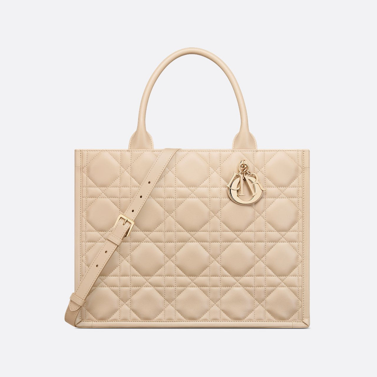 Sac Dior Book Tote Medium