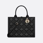 Sac Dior Book Tote Medium