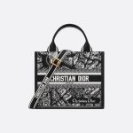 Sac Dior Book Tote Small