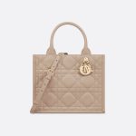 Sac Dior Book Tote Small