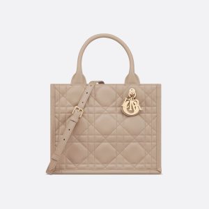 Sac Dior Book Tote Small