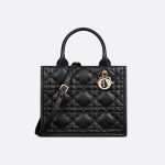 Sac Dior Book Tote Small