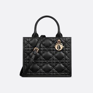 Sac Dior Book Tote Small