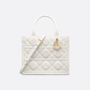 Sac Dior Book Tote Small