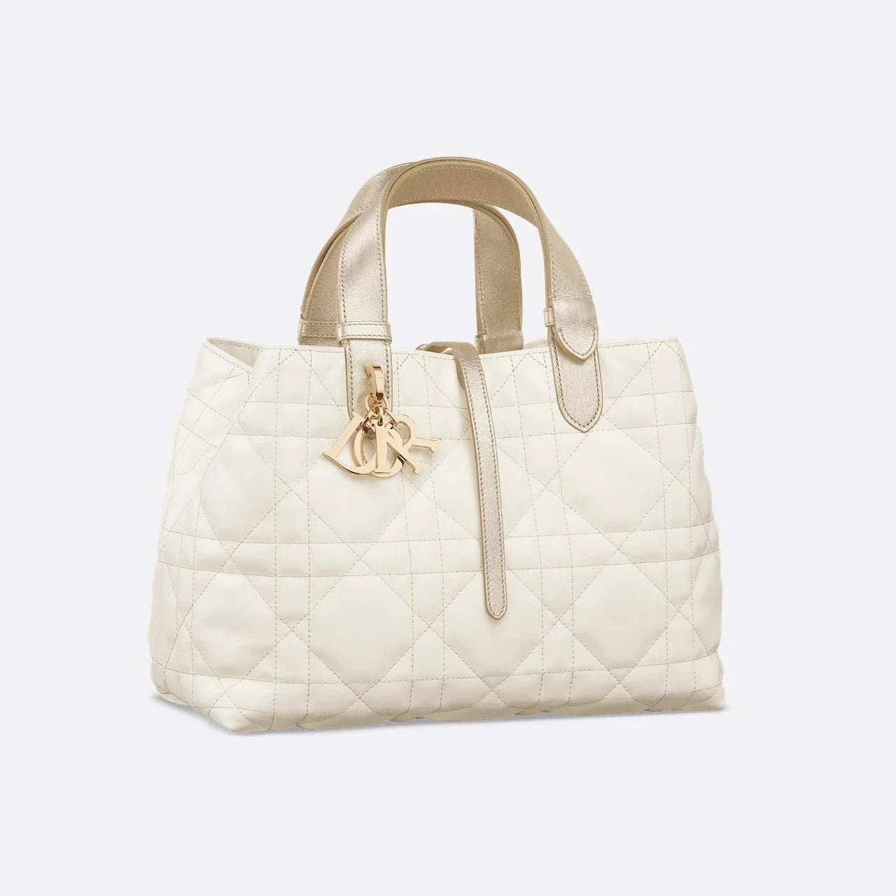 Sac Dior Toujours Medium