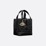 Sac Cabas Vertical Dior Toujours Small