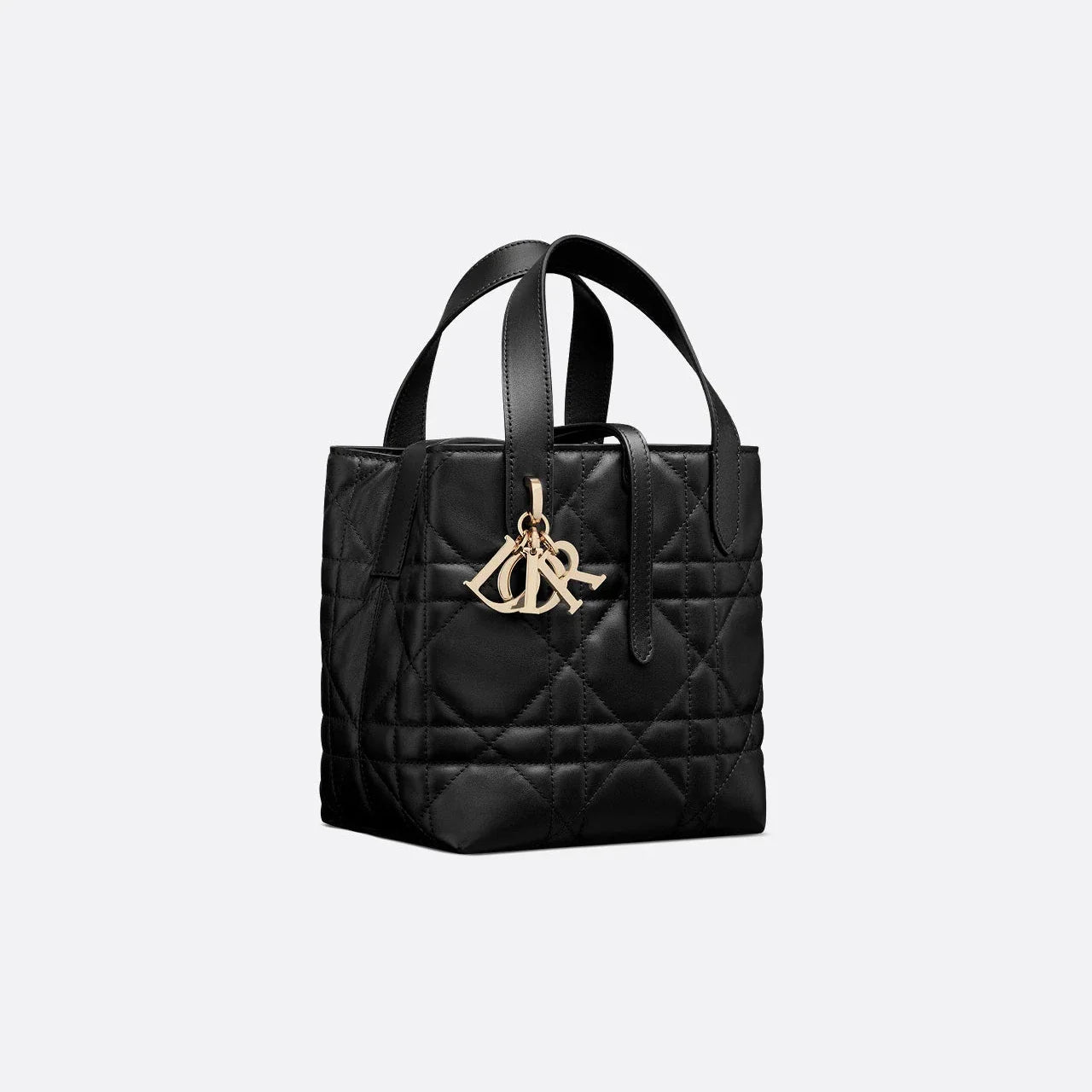 Sac Cabas Vertical Dior Toujours Small