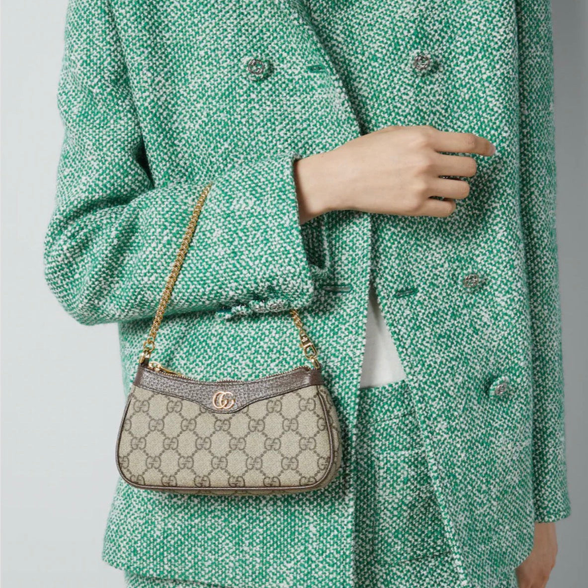 Sac Ophidia Mini Format - Image 2