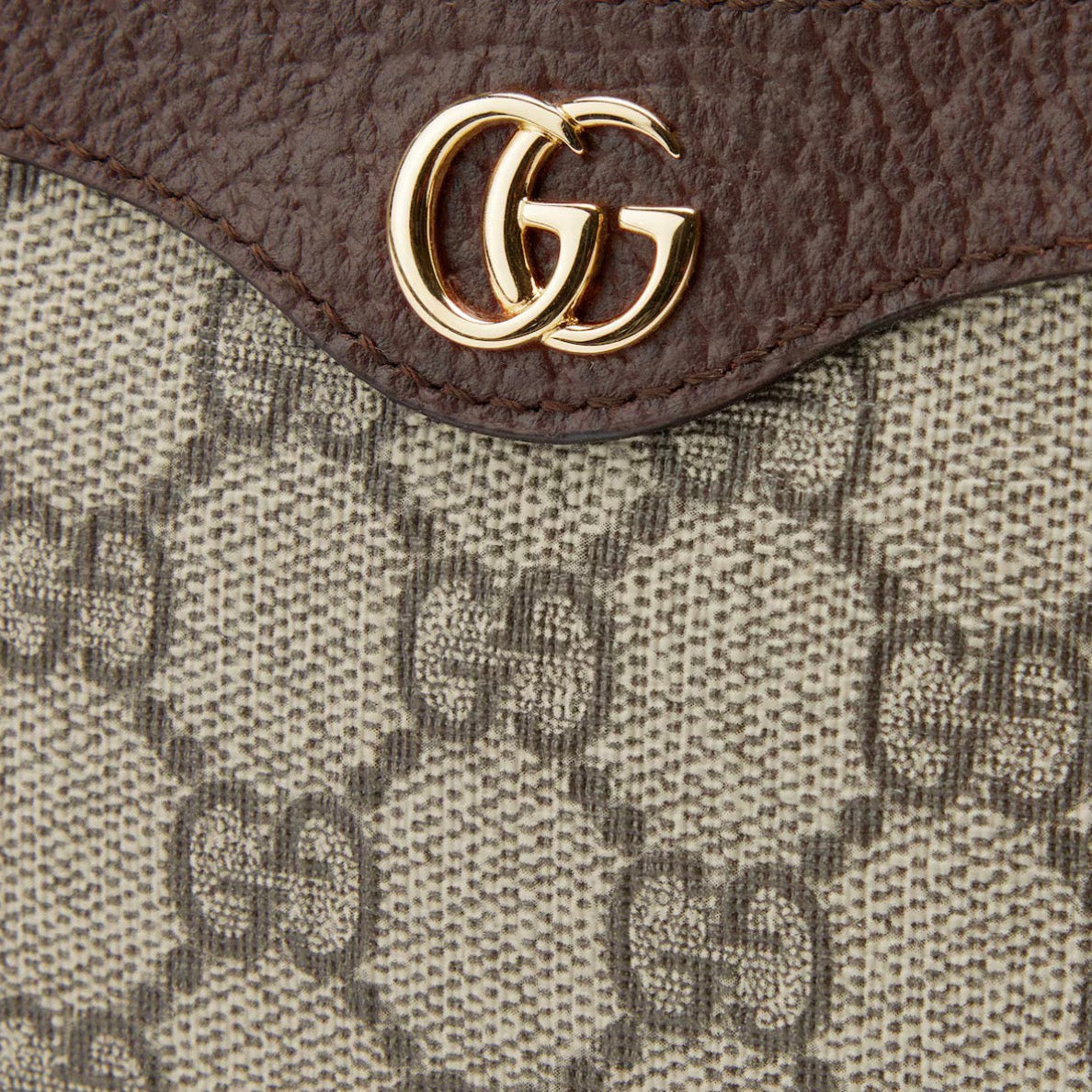 Sac Ophidia Mini Format - Image 4